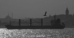 MV SAADET C while transiting Bosphorus staright to south ... by I.cem Ozoral 